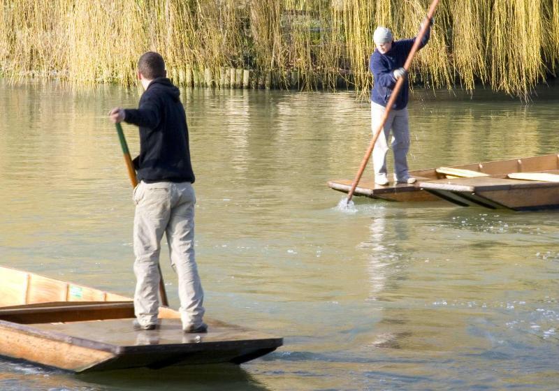 فندق Graduate By Hilton Cambridge