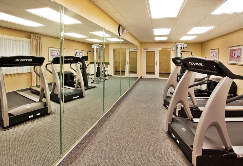 Holiday Inn Express Hotel & Suites Mcdonough, An Ihg