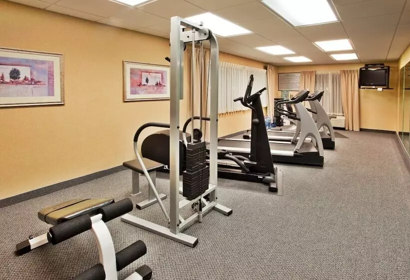 Holiday Inn Express Hotel & Suites Mcdonough, An Ihg