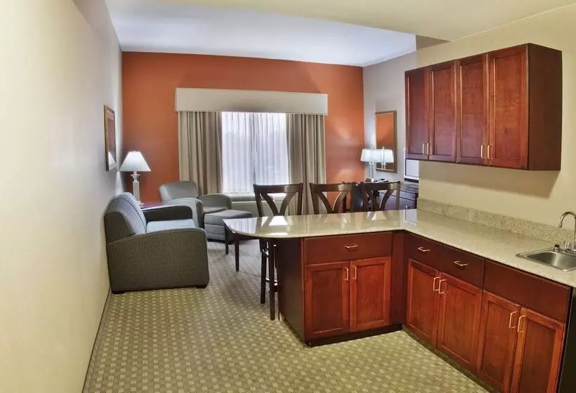Holiday Inn Express Hotel & Suites Mcdonough, An Ihg