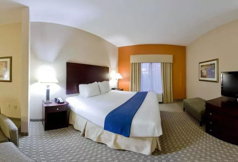 Holiday Inn Express Hotel & Suites Mcdonough, An Ihg
