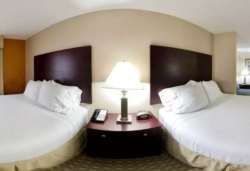 Holiday Inn Express Hotel & Suites Mcdonough, An Ihg