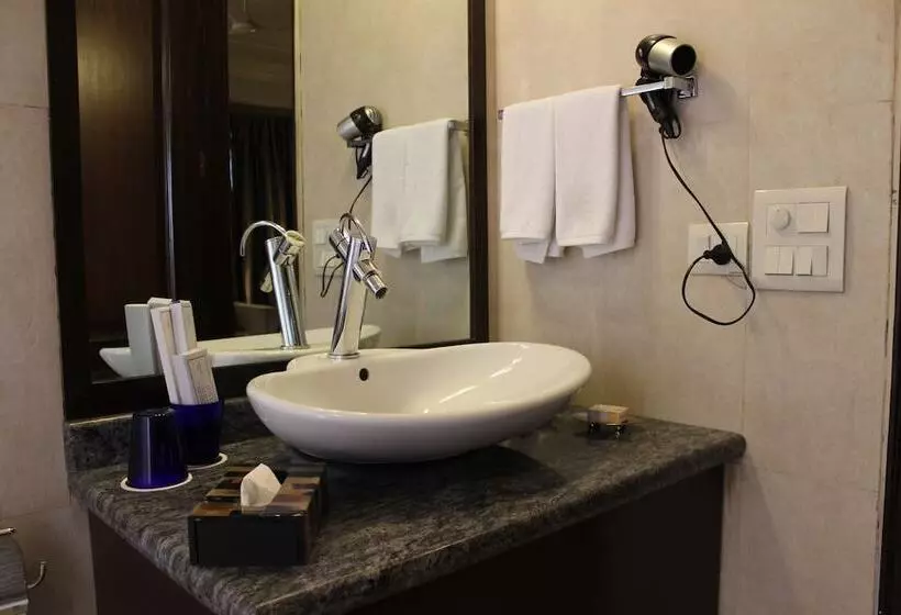 酒店 The Orion Greater Kailash