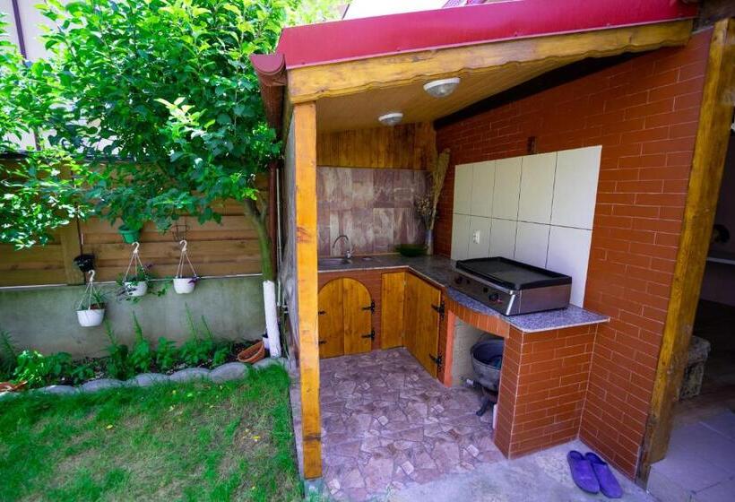 پانسیون Vila Cristian