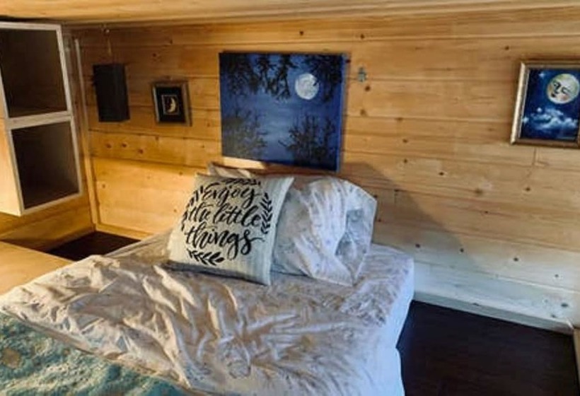 Cozy Tiny House Retreat Mount Laguna 21