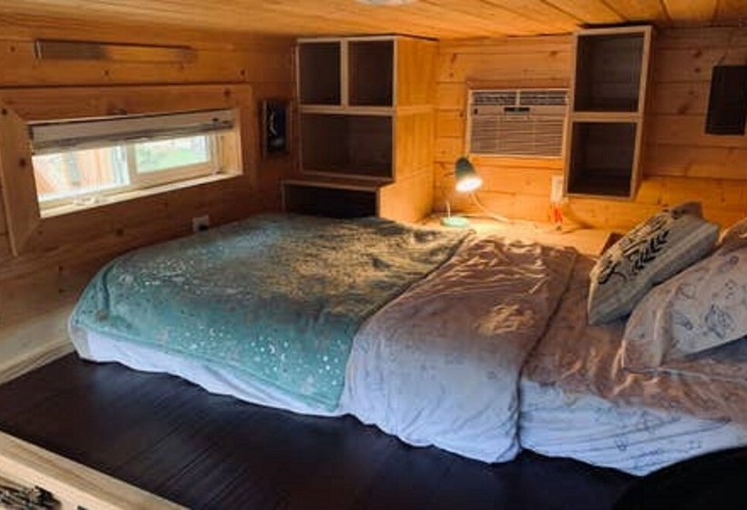 Cozy Tiny House Retreat Mount Laguna 21