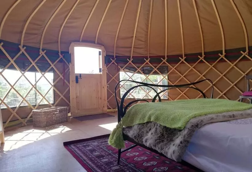 هتل Looe Yurts