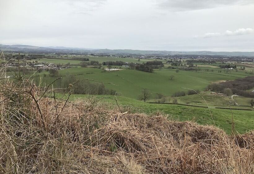 Romantic Shepherds Hut At Jacquies B And B