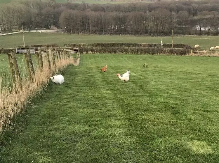 Romantic Shepherds Hut At Jacquies B And B