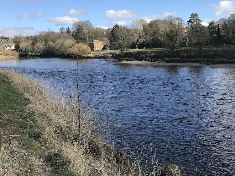 Romantic Shepherds Hut At Jacquies B And B