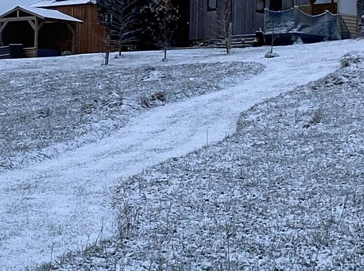 Romantic Shepherds Hut At Jacquies B And B