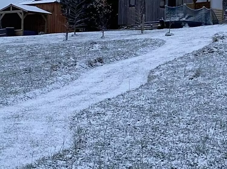 Romantic Shepherds Hut At Jacquies B And B