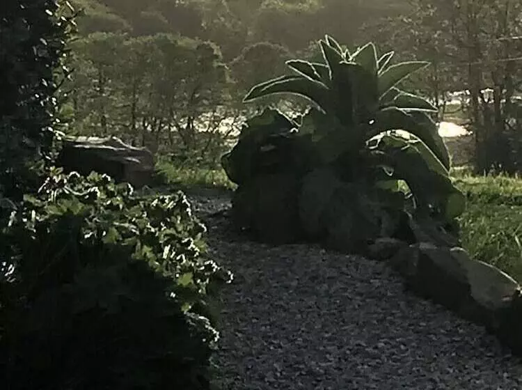 Romantic Shepherds Hut At Jacquies B And B