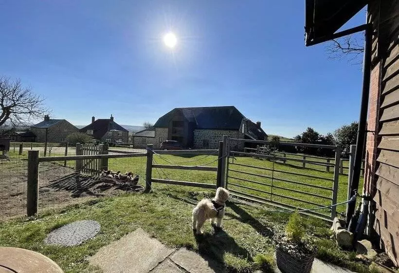 Surf Shack, 1 Bed Cottage, Sleeps 2, Pet Friendly