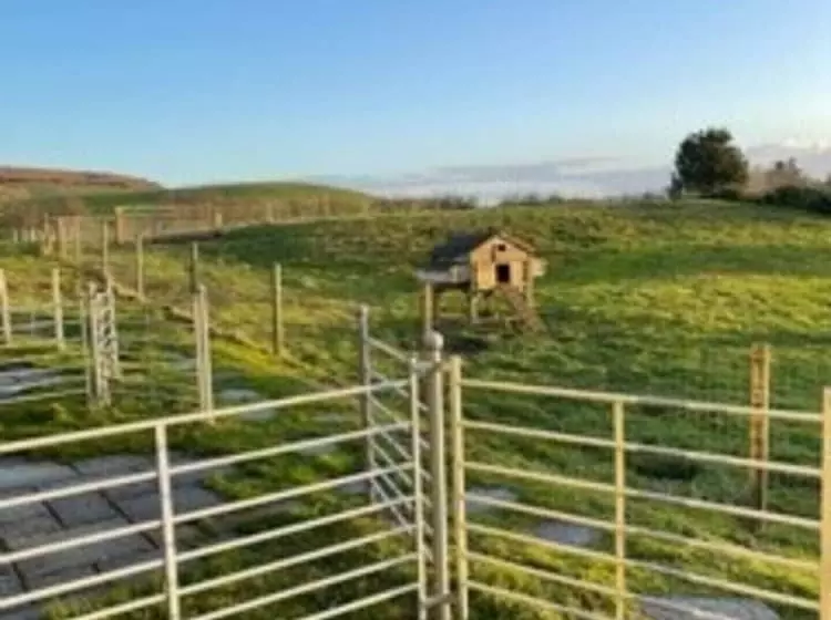 Surf Shack, 1 Bed Cottage, Sleeps 2, Pet Friendly