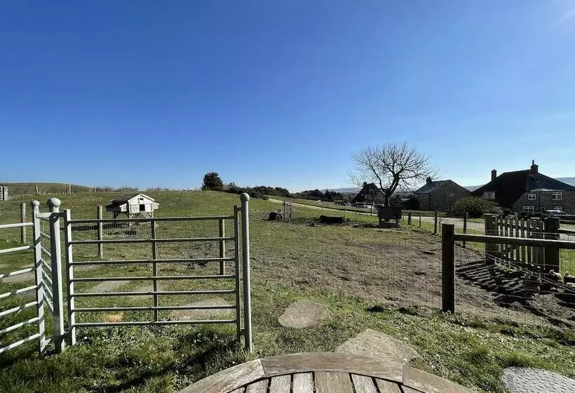 Surf Shack, 1 Bed Cottage, Sleeps 2, Pet Friendly