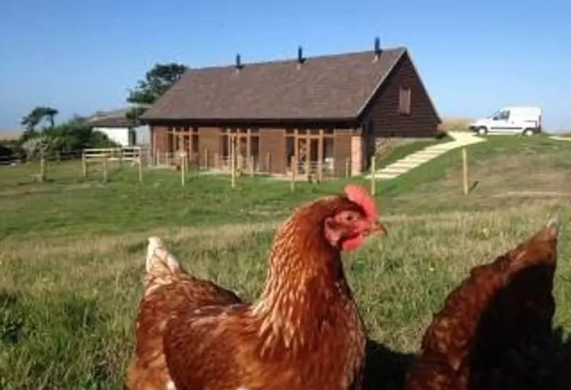 Surf Shack, 1 Bed Cottage, Sleeps 2, Pet Friendly