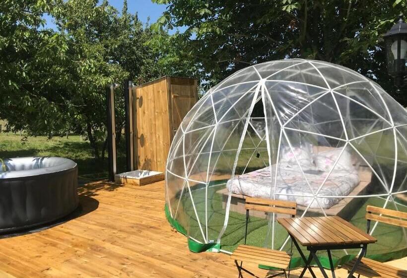 Bed and Breakfast Chambre Avec Spa Privé