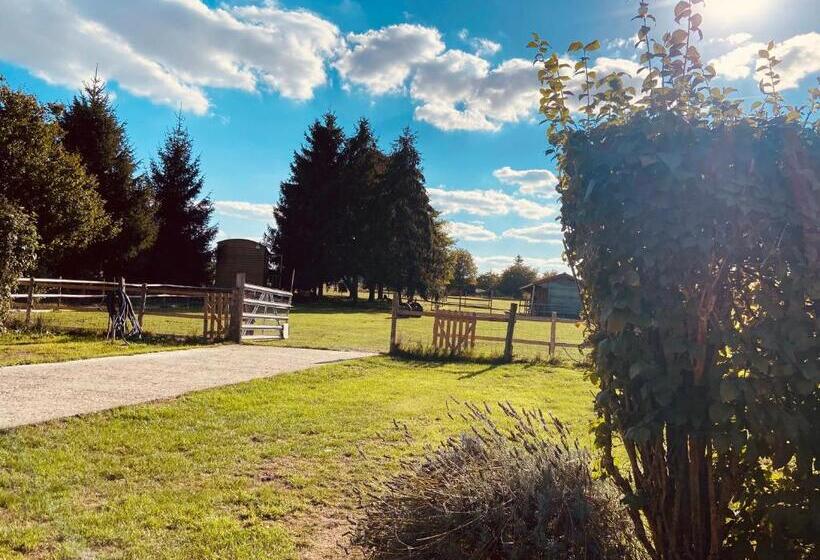 Bed and Breakfast Chambre Avec Spa Privé