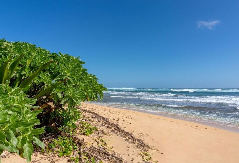 فندق Hanalei Colony Resort F3 2 Bedroom Condo