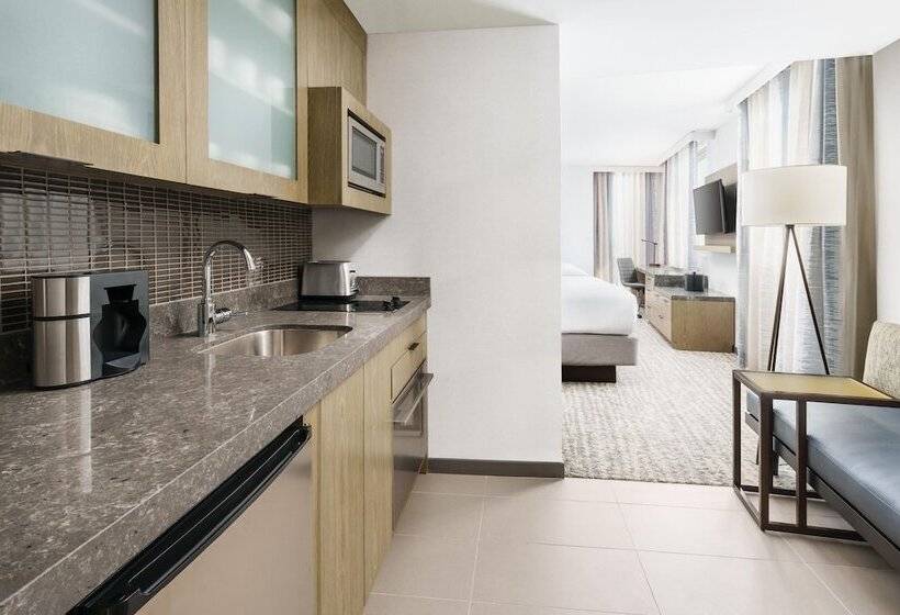 酒店 Residence Inn New York Downtown Manhattan/financial District