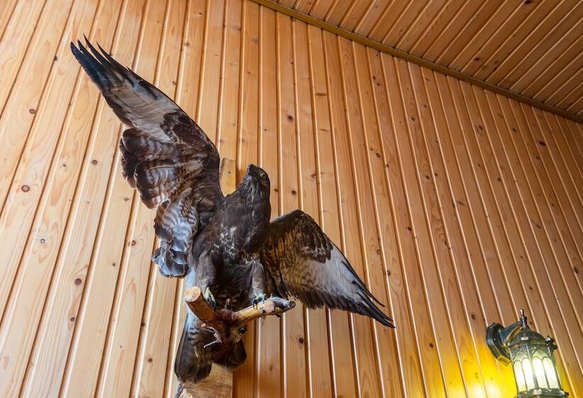 Отель Villa Milena