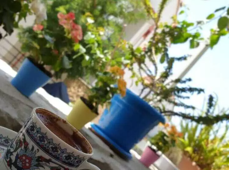 Limon Pansiyon