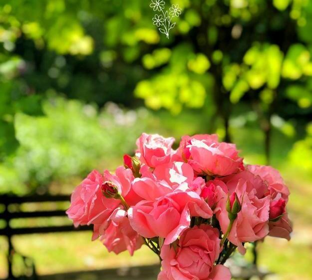 膳宿费 Les Jardins De Malisa