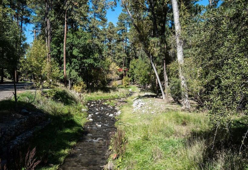 Perfect Cabin By Vtrips