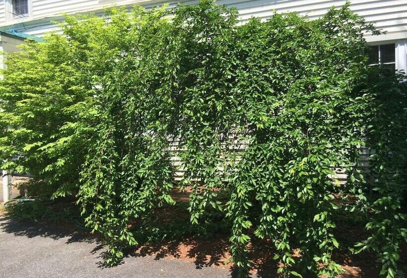 Perry S Motel And Cottages