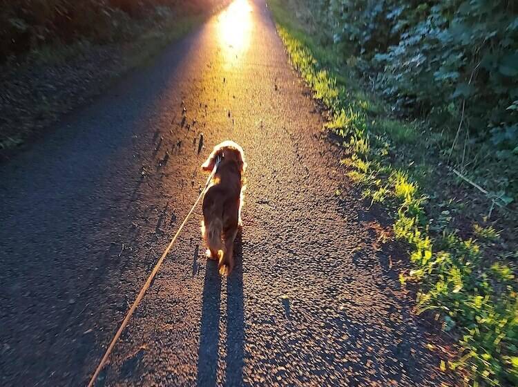 Saughall Mill Farm Cottage