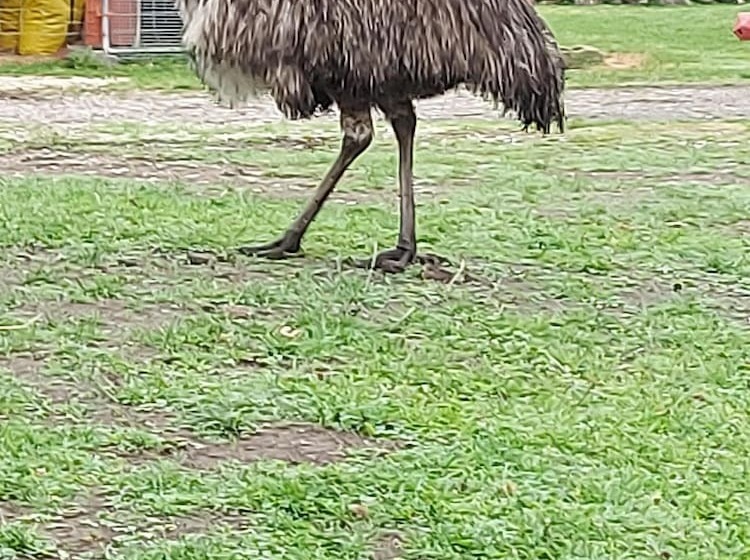 Saughall Mill Farm Cottage