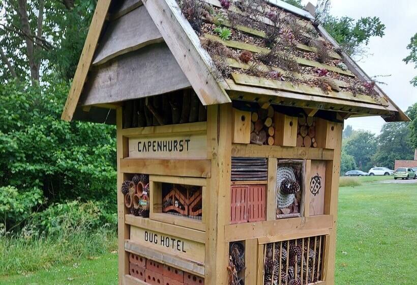 Saughall Mill Farm Cottage