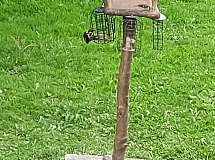 Saughall Mill Farm Cottage