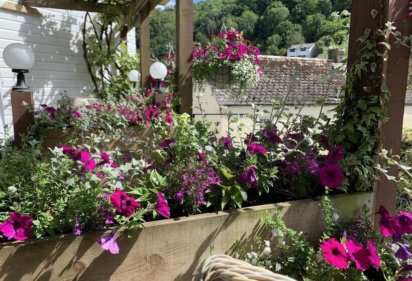 The Claremont Hotel   Adult Only