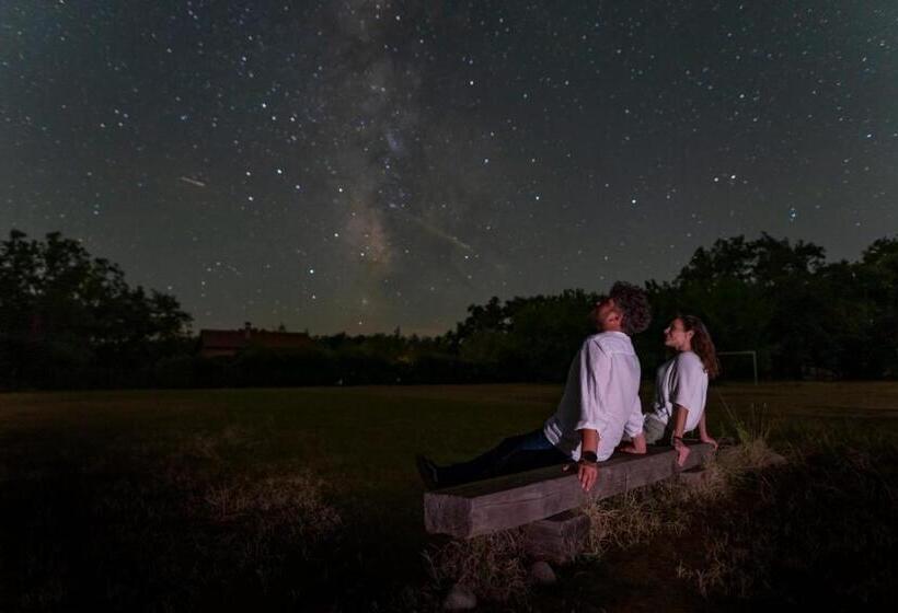 هتل El Mirlo Blanco