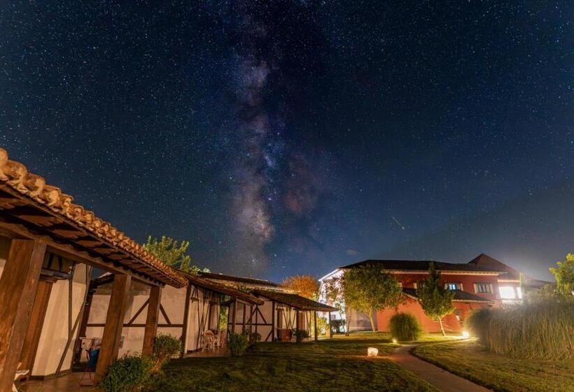 هتل El Mirlo Blanco