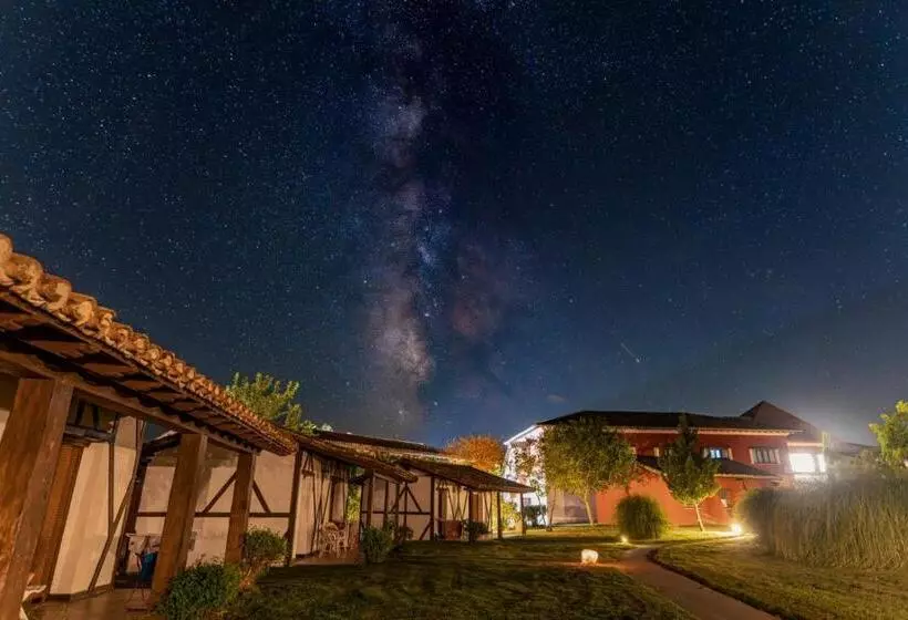 فندق El Mirlo Blanco