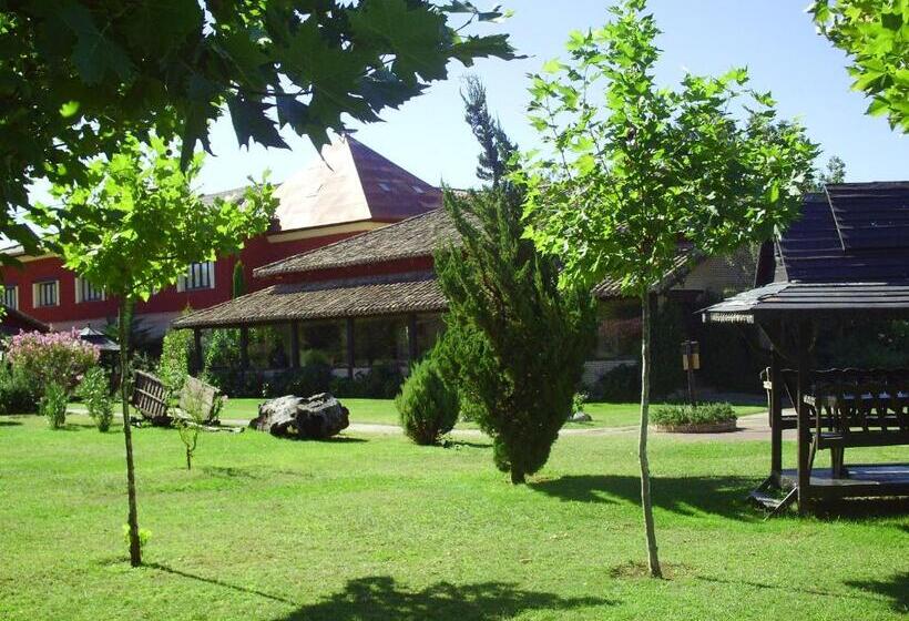 هتل El Mirlo Blanco