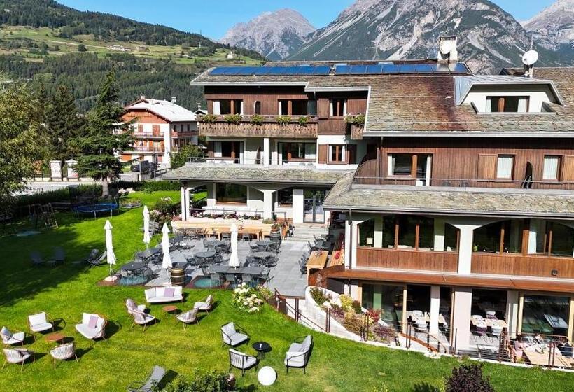 בית מלון כפרי Nevada