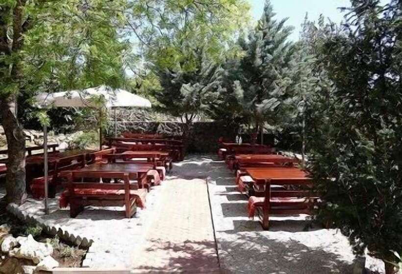 فندق Villa Aurora