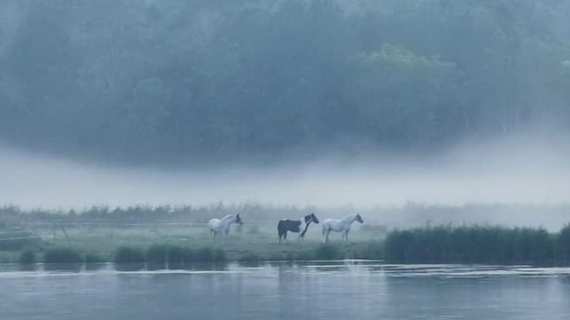 בית מלון כפרי Blankaholms Bad Och Naturcamping
