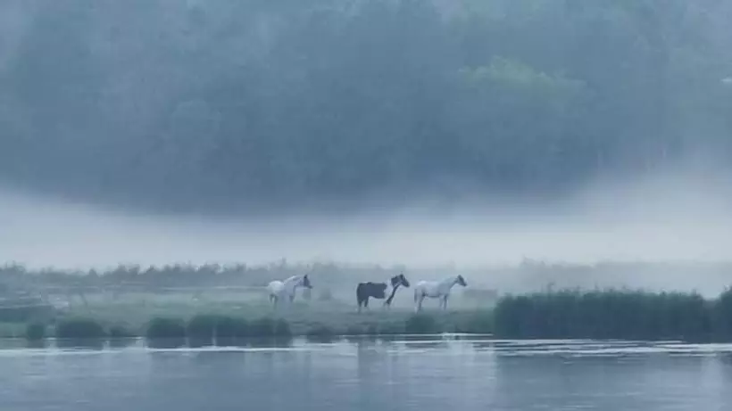 Hotelli Blankaholms Bad Och Naturcamping