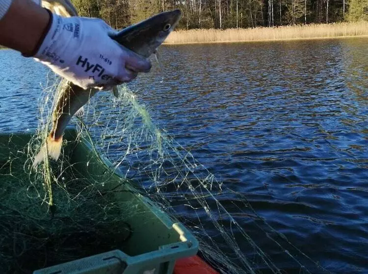 Hotelli Blankaholms Bad Och Naturcamping