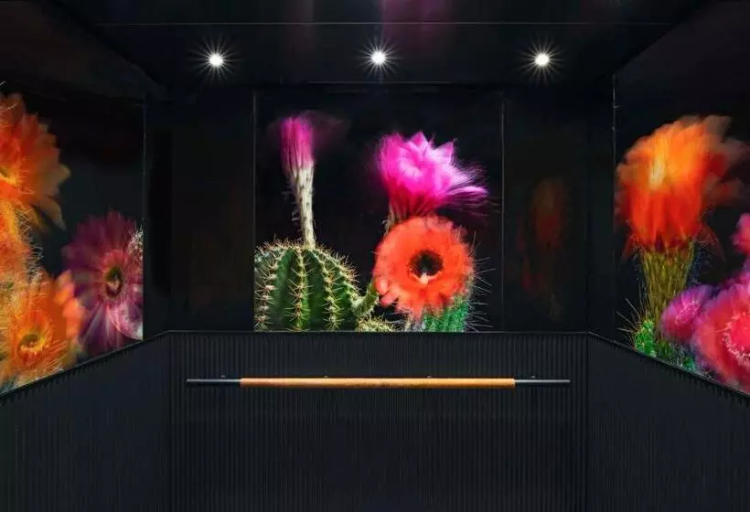 Hotelli Tommie Austin, Jdv By Hyatt