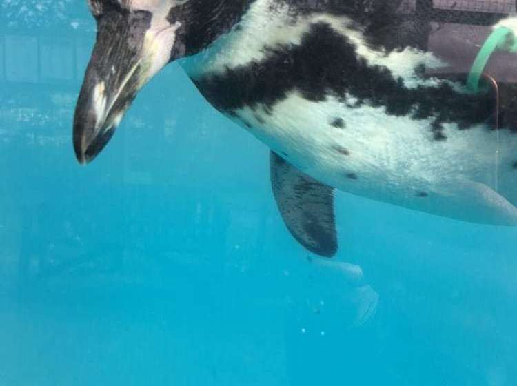 Spacious 2bed Cottage In Conwy, North Wales