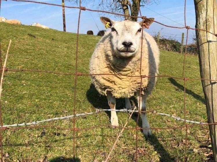Spacious 2bed Cottage In Conwy, North Wales