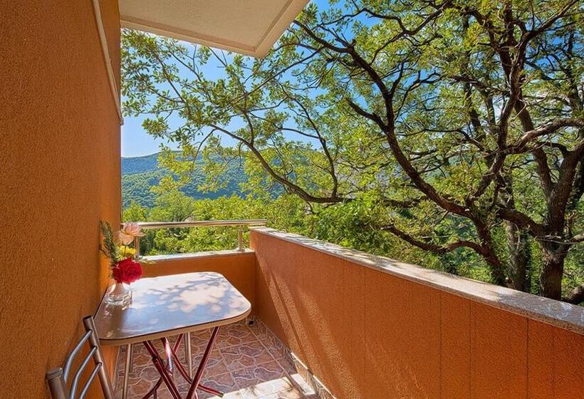 پانسیون Vila Ivanovic