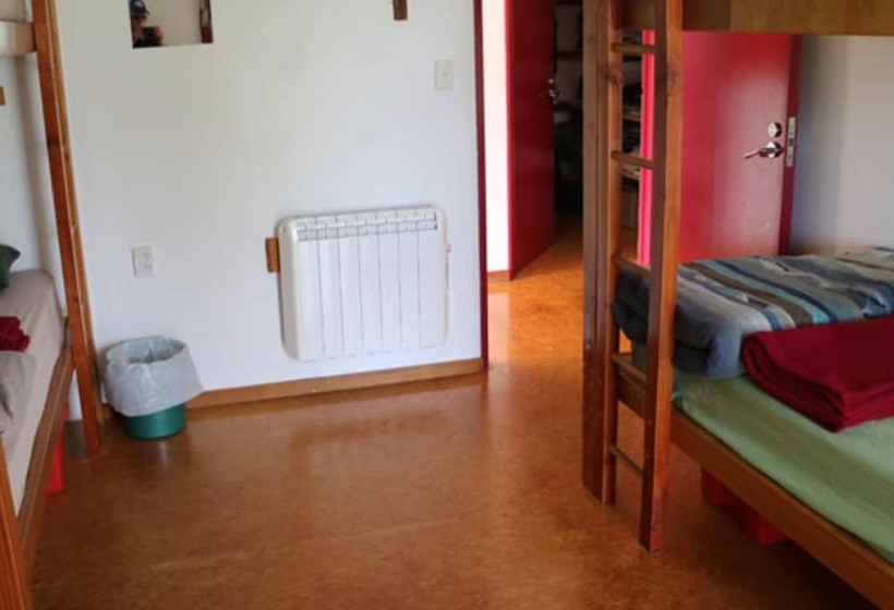 فندق صغير Bob & Maxine S Backpackers