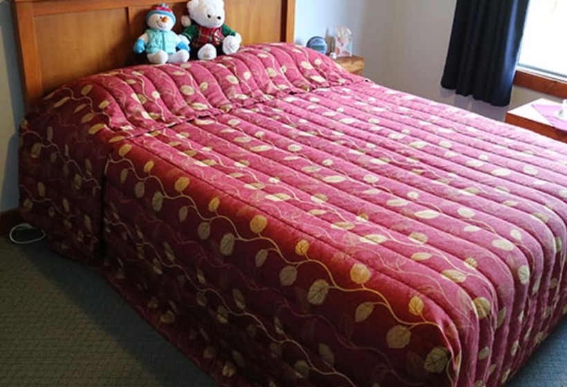 فندق صغير Bob & Maxine S Backpackers